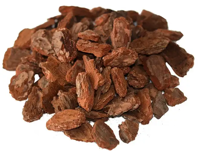 How Pine Bark Extract Powder Supports Heart Health?